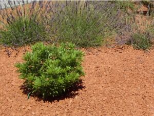 ECLATS DE BRIQUE Orange