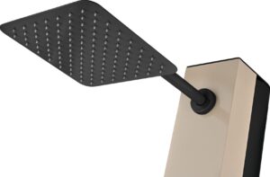 Douche extérieure monoflux Phoenix série en acier inoxydable